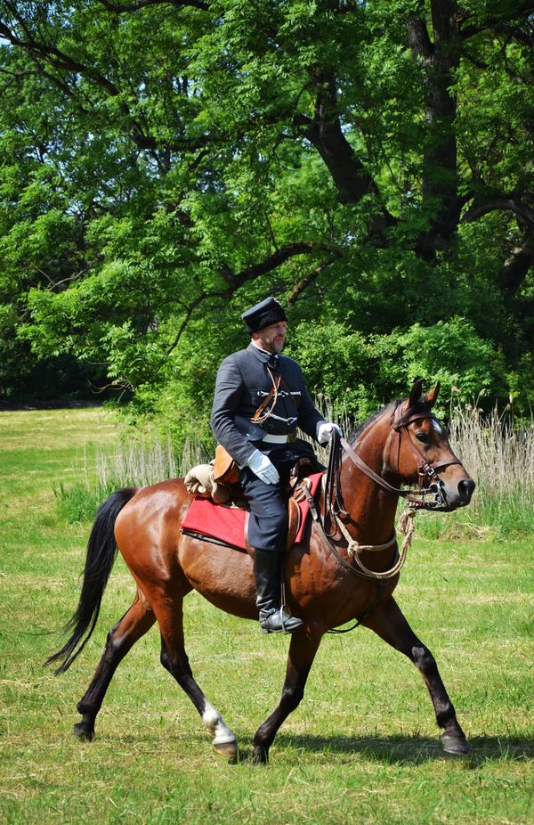 Dwudniowe obchody Dnia Pamięci Bohaterów Bitwy pod Radzanowem z 26 - 27 maja 1863 roku.