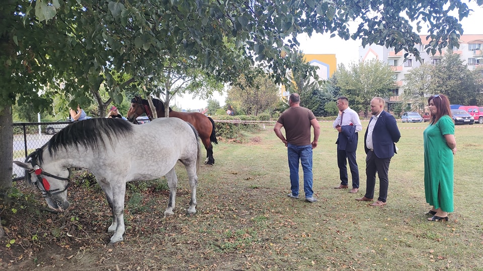 Ekologiczny Piknik Rodzinny na boisku przy Zespole Szkół Ponadpodstawowych