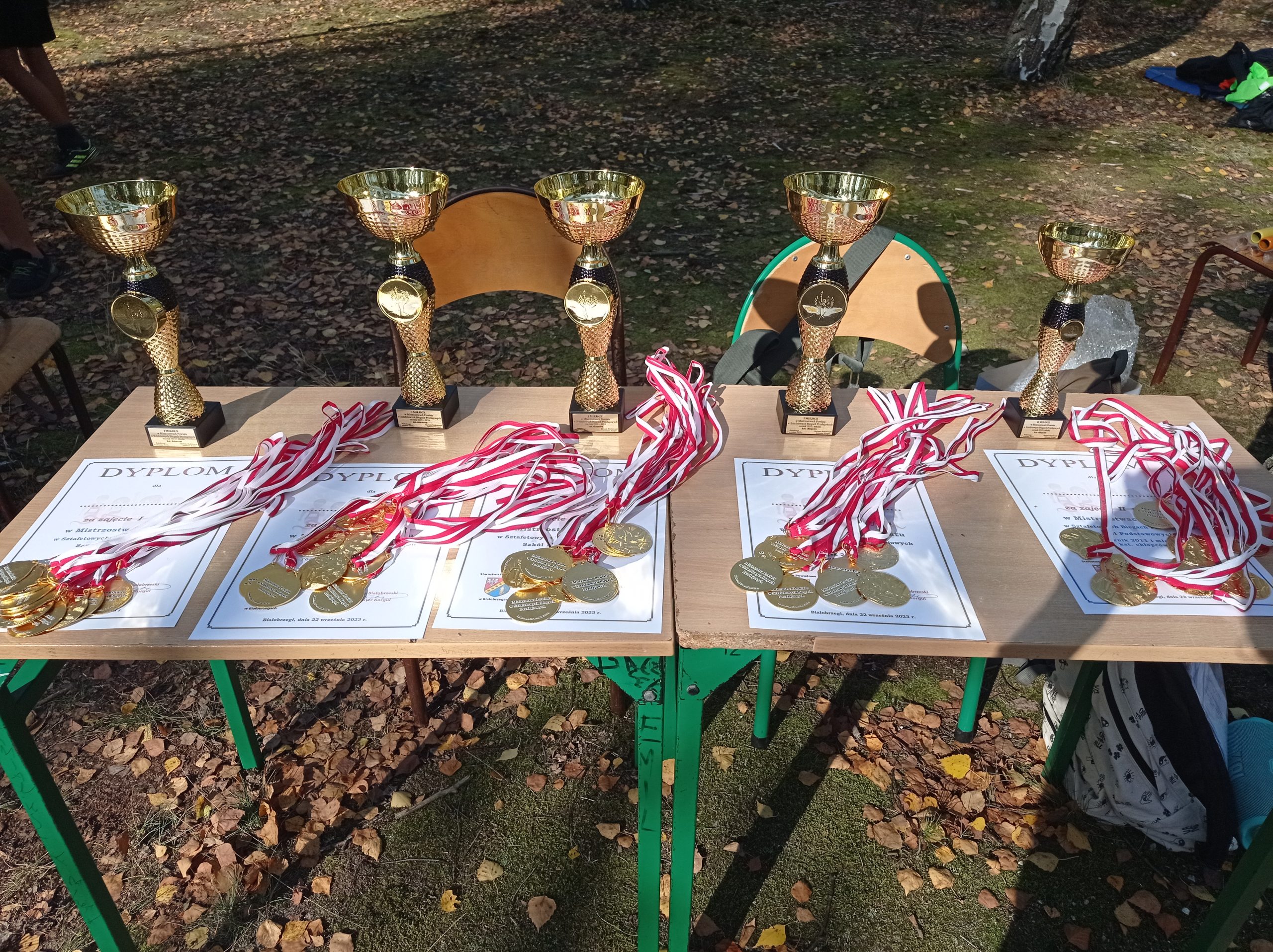 Mistrzostwa Powiatu w sztafetowych biegach przełajowych szkół podstawowych