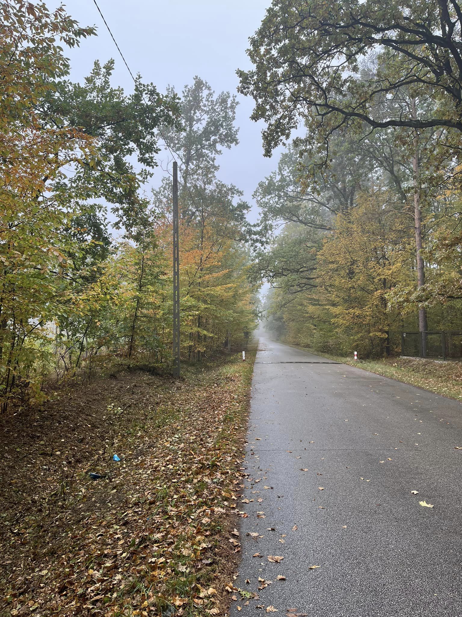Trwają intensywne prace związane z jesiennym utrzymaniem dróg powiatowych.