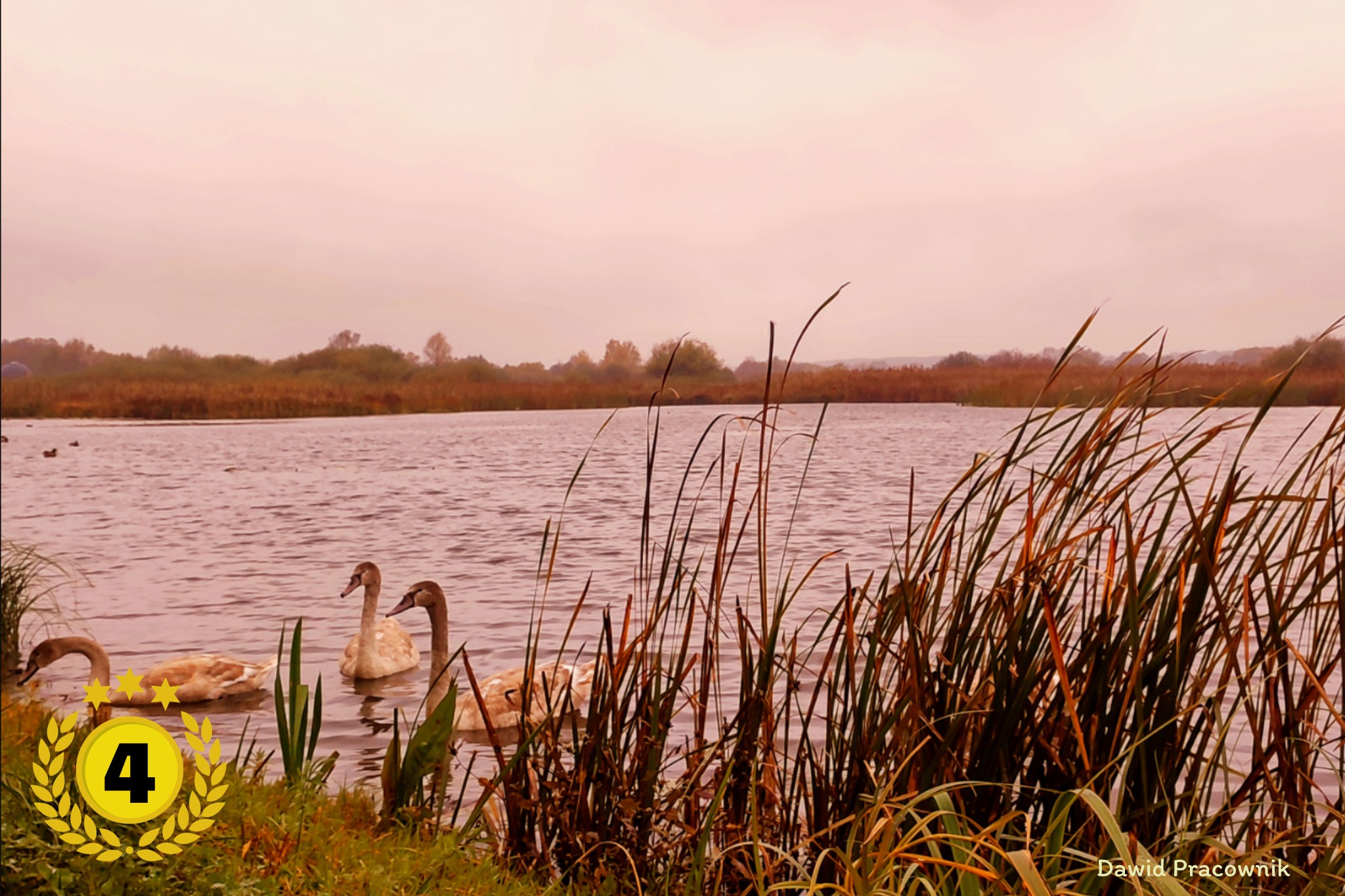 Drodzy Mieszkańcy Powiatu Białobrzeskiego! Rozstrzygnęliśmy konkurs!
