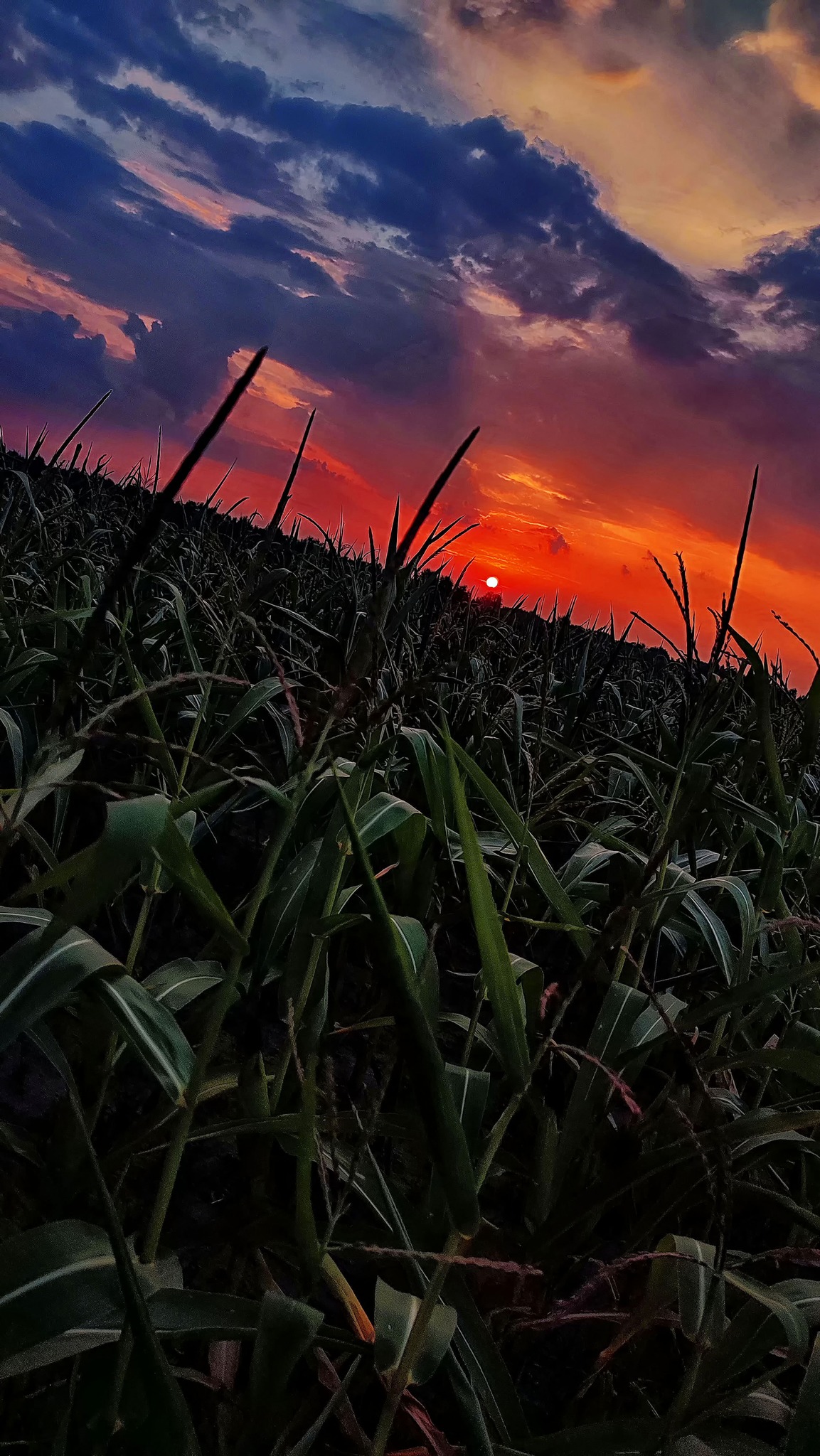 Drodzy Mieszkańcy Powiatu Białobrzeskiego! Rozstrzygnęliśmy konkurs!