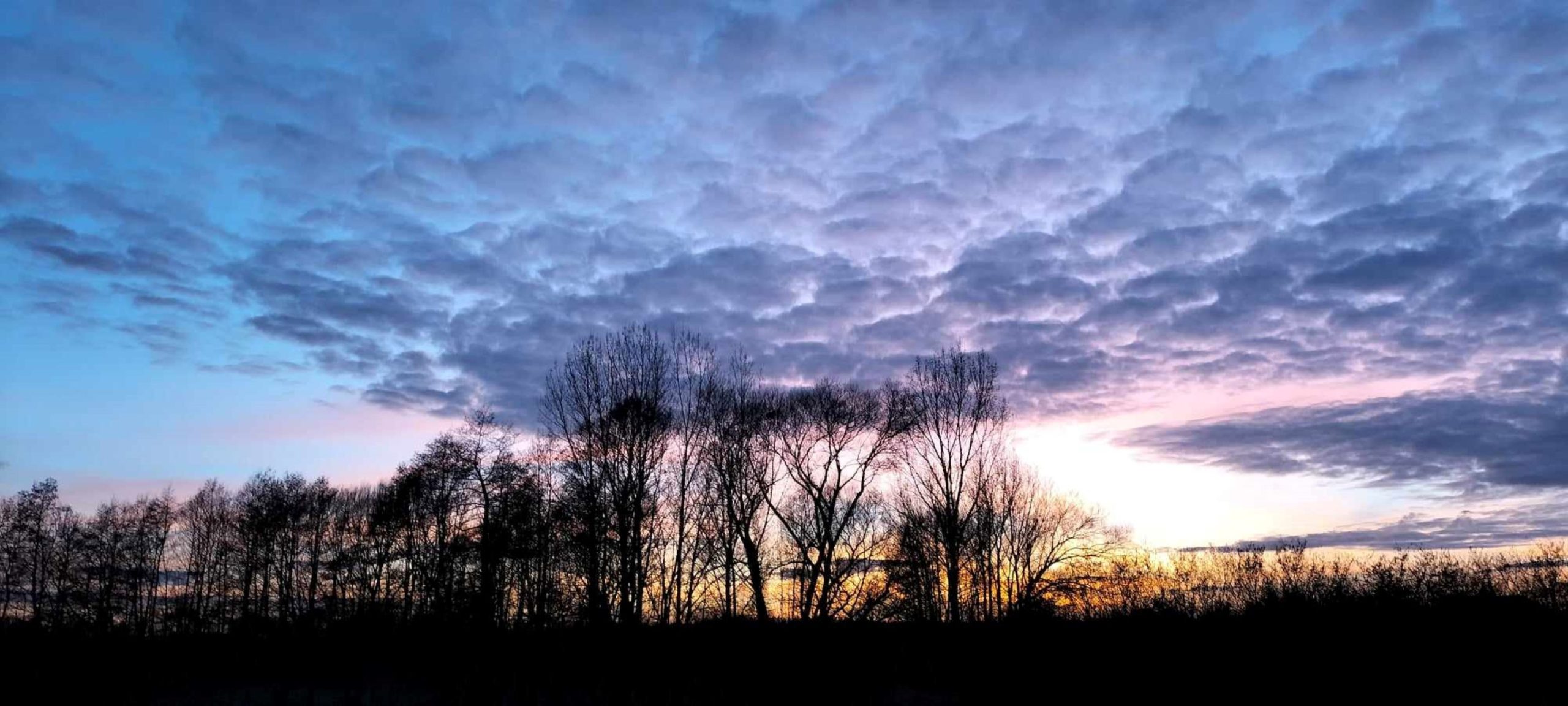 Drodzy Mieszkańcy Powiatu Białobrzeskiego! Rozstrzygnęliśmy konkurs!