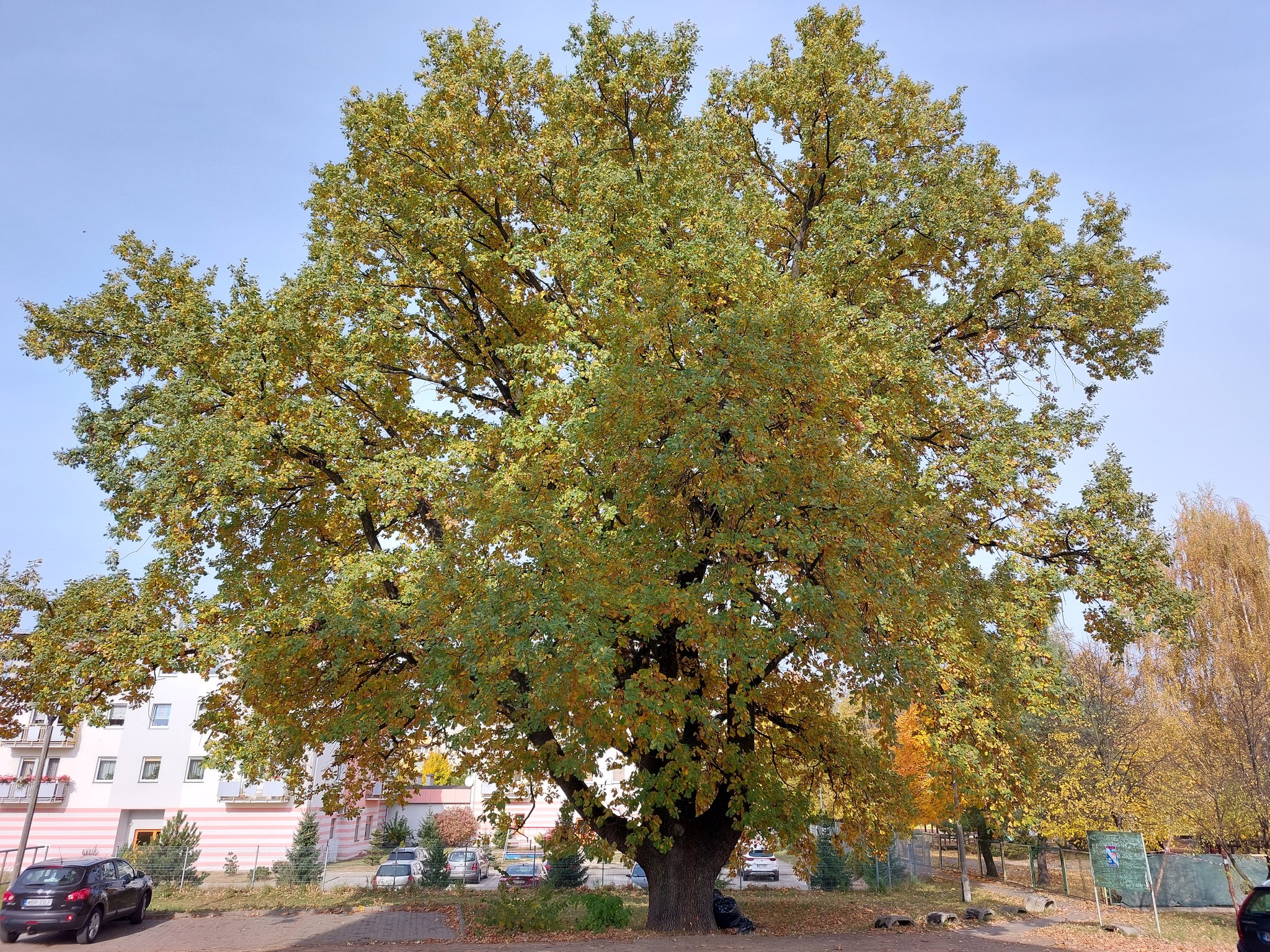 Drodzy Mieszkańcy Powiatu Białobrzeskiego! Rozstrzygnęliśmy konkurs!