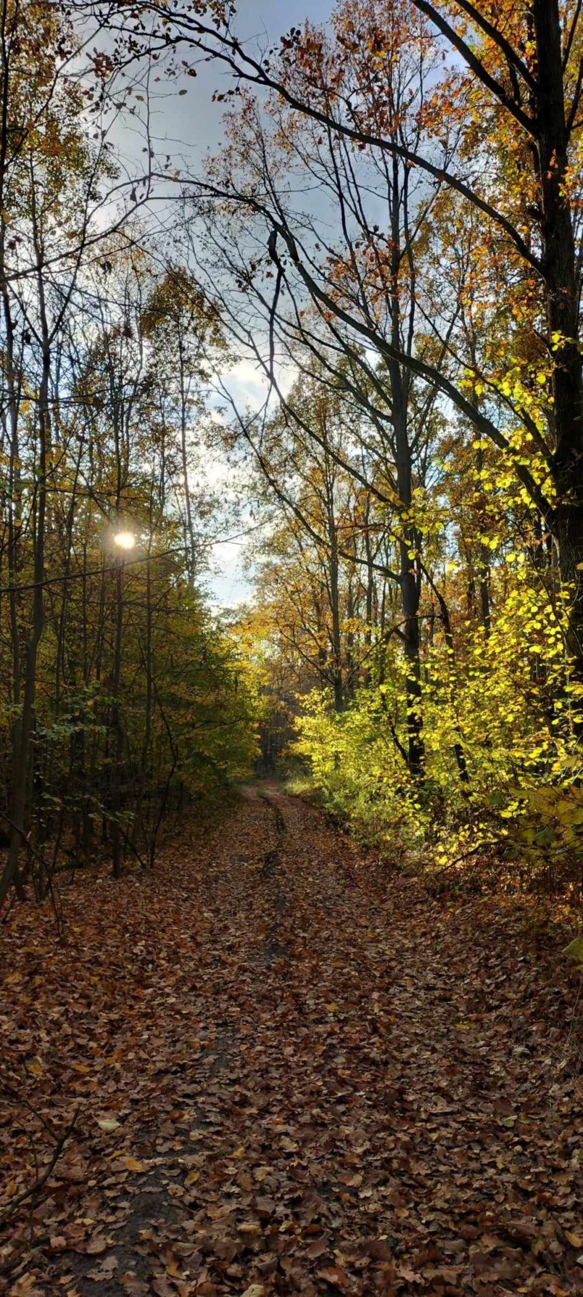 Drodzy Mieszkańcy Powiatu Białobrzeskiego! Rozstrzygnęliśmy konkurs!