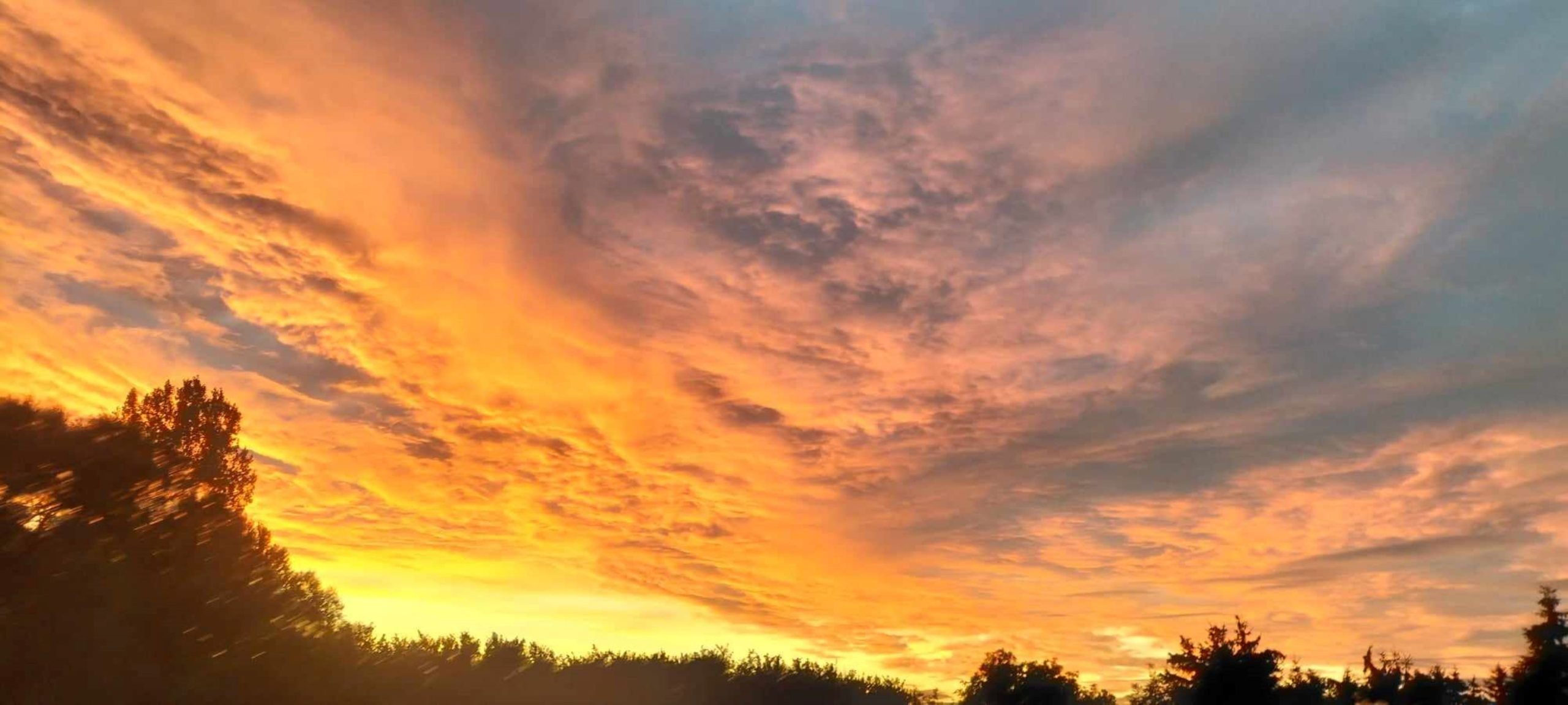 Drodzy Mieszkańcy Powiatu Białobrzeskiego! Rozstrzygnęliśmy konkurs!