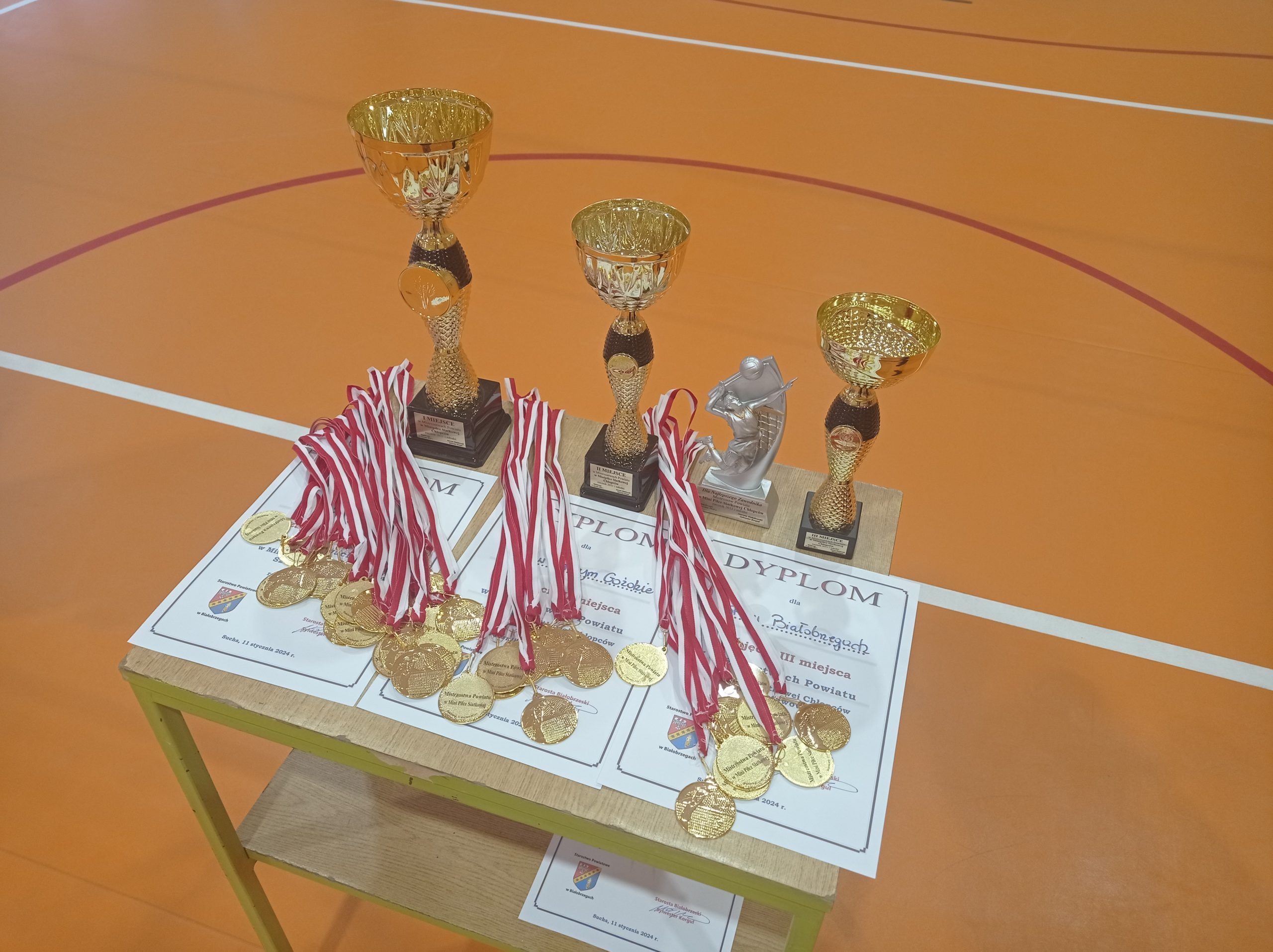 Mistrzostwa Powiatu w mini piłce siatkowej dziewcząt i chłopców szkół podstawowych