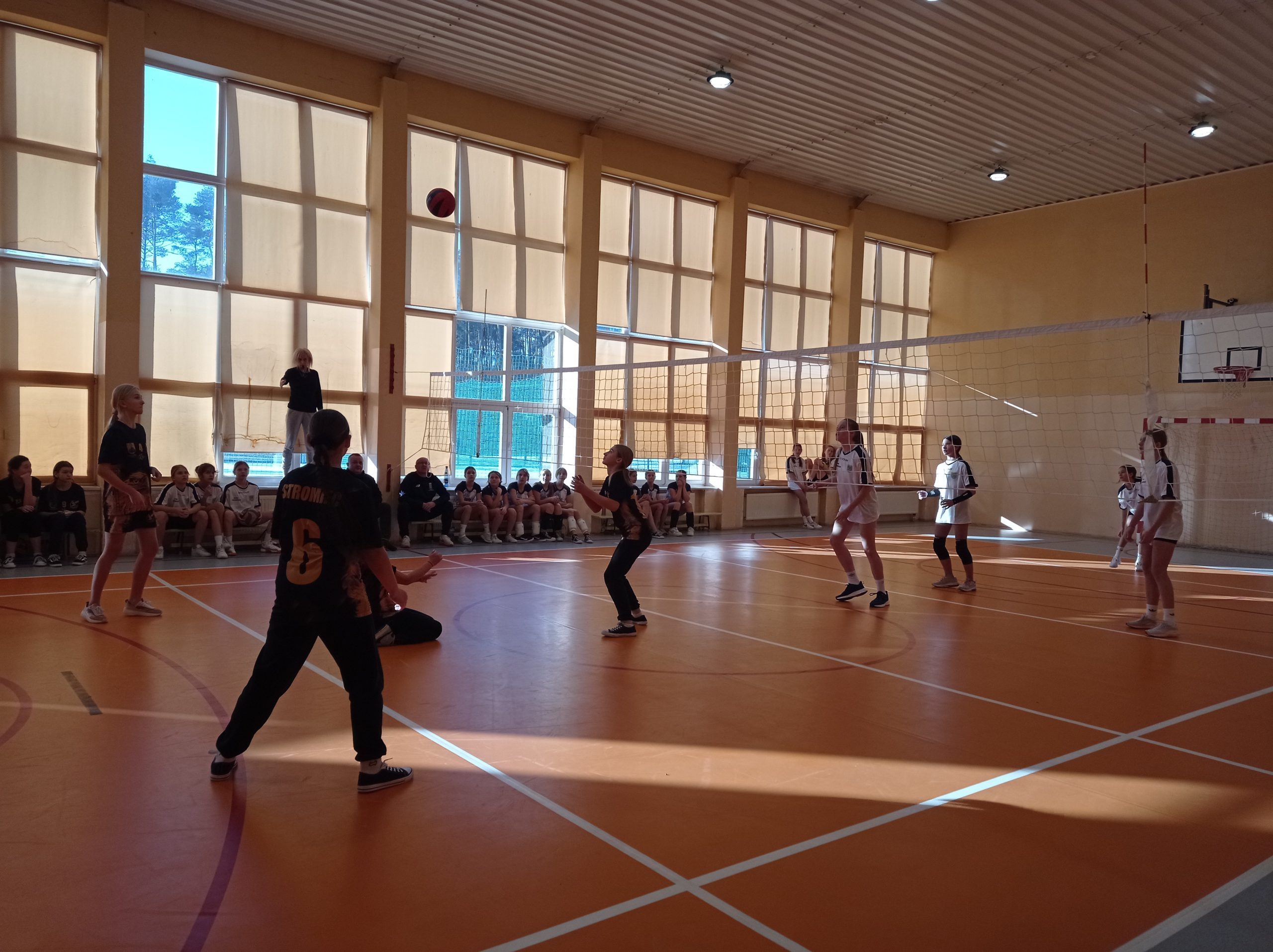 Mistrzostwa Powiatu w mini piłce siatkowej dziewcząt i chłopców szkół podstawowych