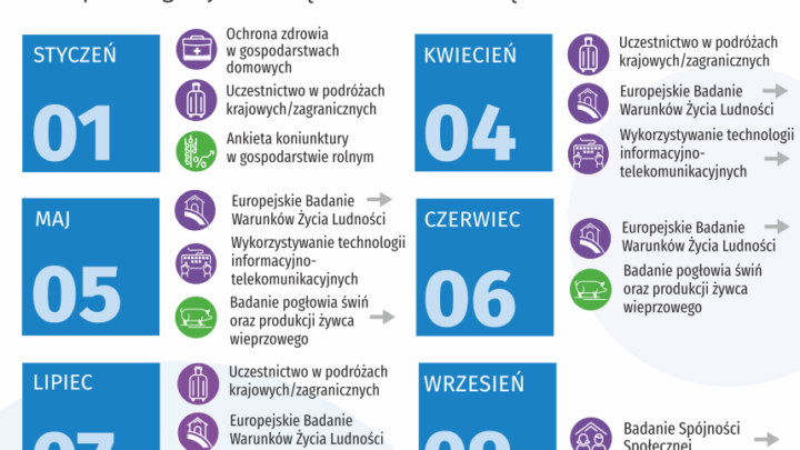Statystyczne badania ankietowe w 2024 r.