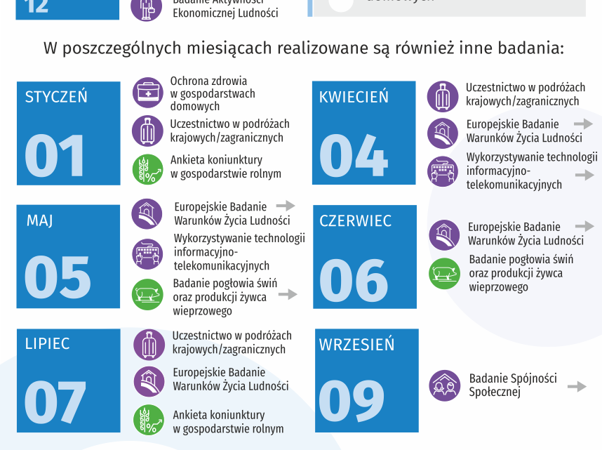 Statystyczne badania ankietowe w 2024 r.