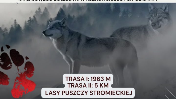 Przypominamy, że ruszyły zapisy na II Bieg Pamięci Żołnierzy Wyklętych.