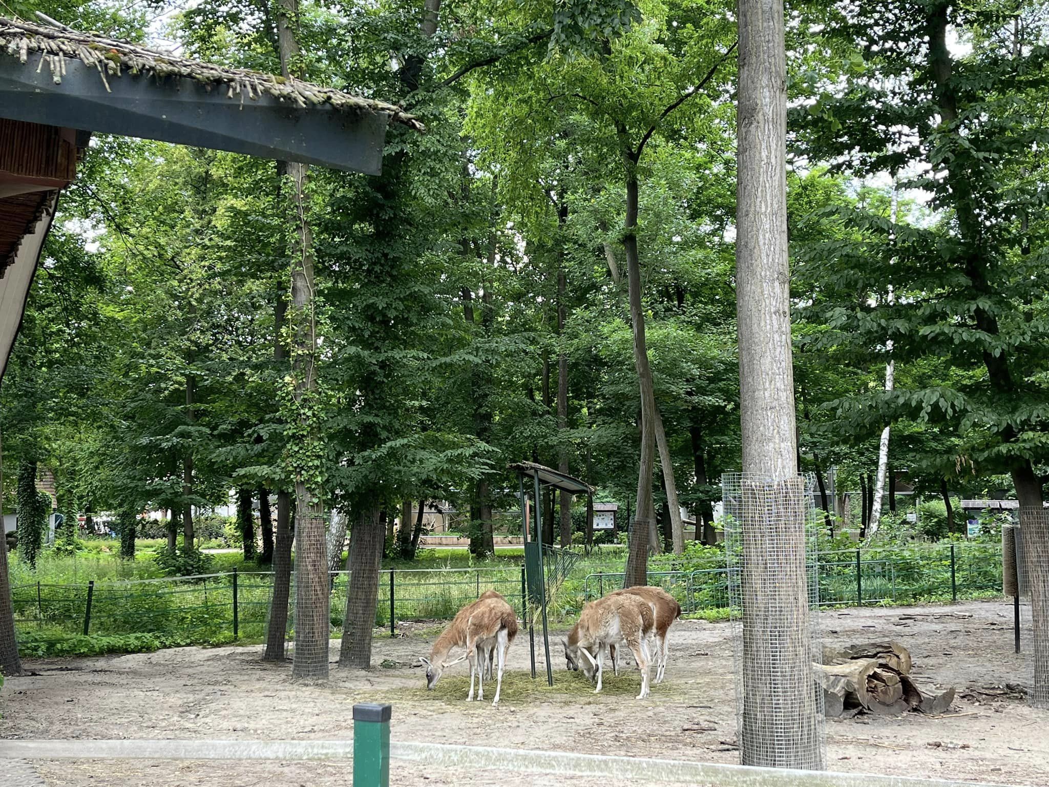 konkursu plastycznego dla dzieci i młodzieży pod hasłem „Dzień i noc - strażak zawsze ma moc”
