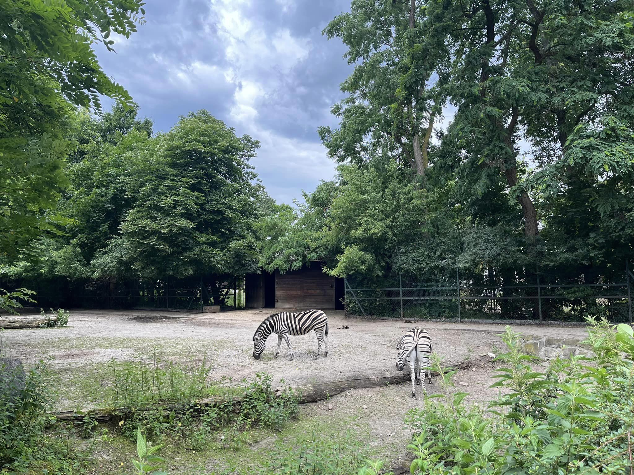 konkursu plastycznego dla dzieci i młodzieży pod hasłem „Dzień i noc - strażak zawsze ma moc”