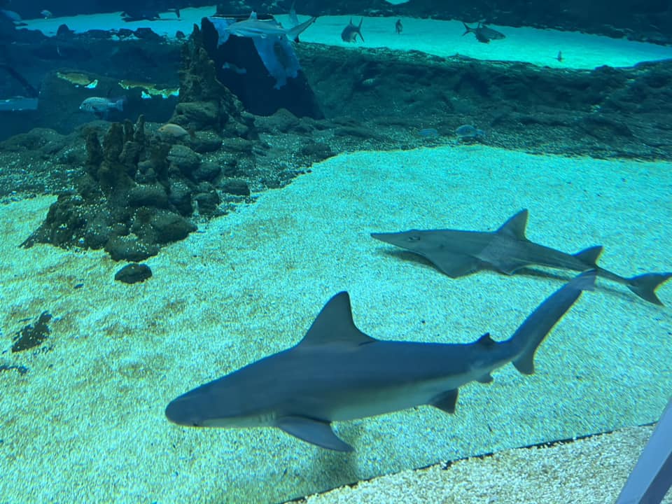 konkursu plastycznego dla dzieci i młodzieży pod hasłem „Dzień i noc - strażak zawsze ma moc”