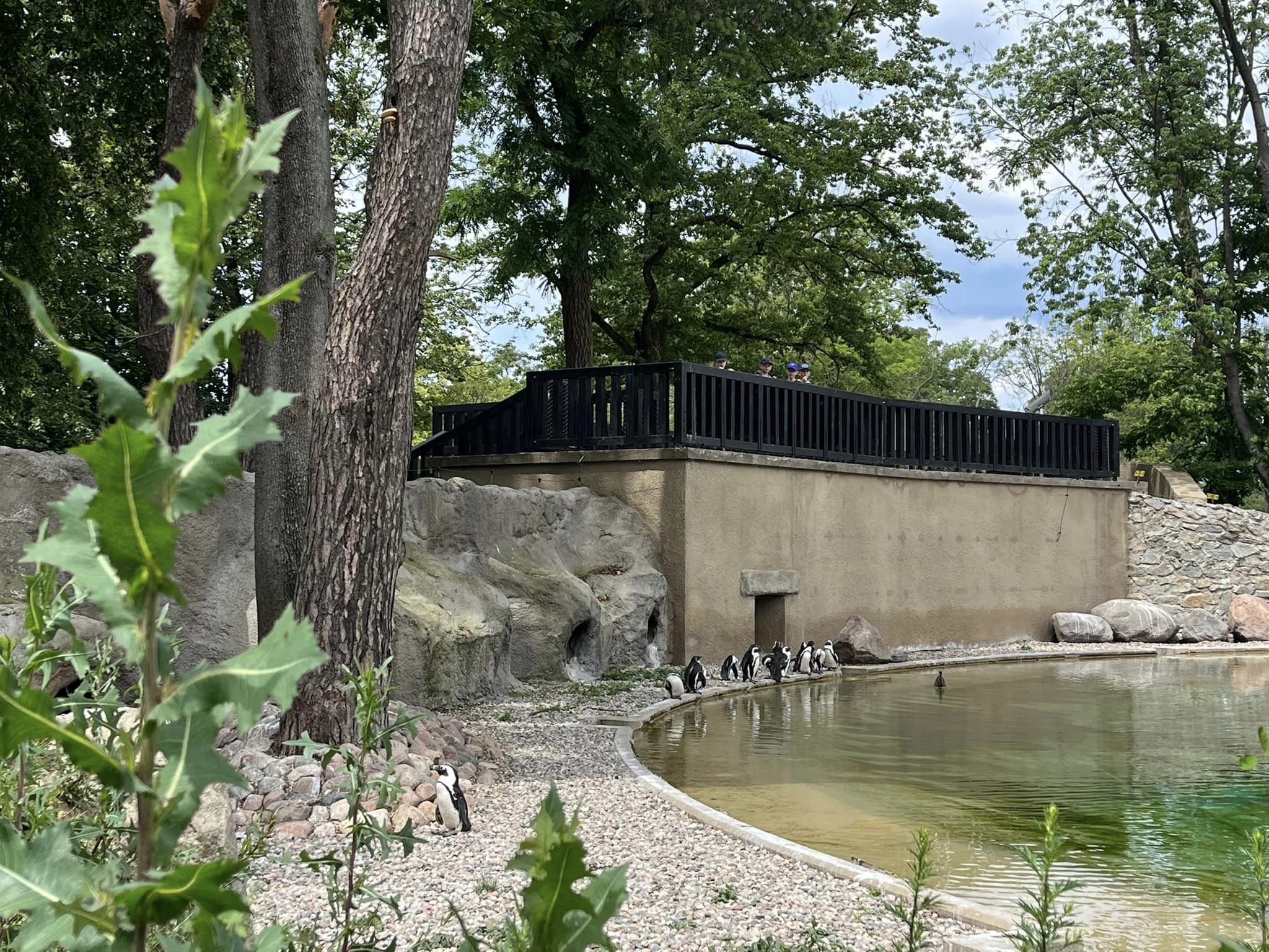 konkursu plastycznego dla dzieci i młodzieży pod hasłem „Dzień i noc - strażak zawsze ma moc”