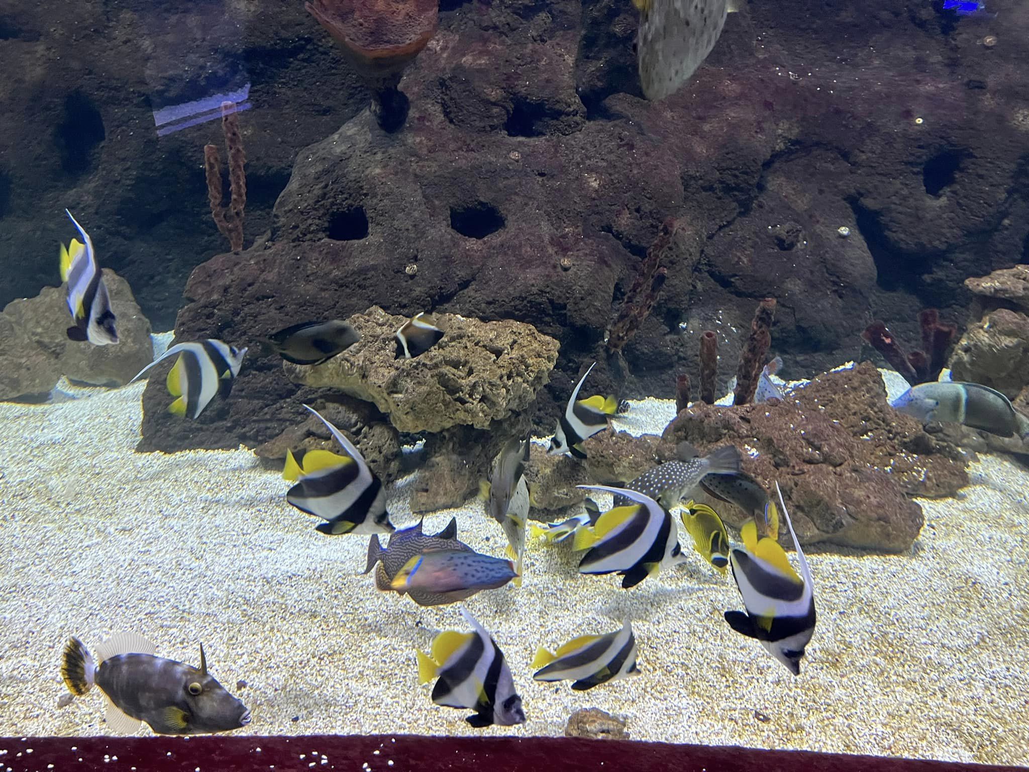 konkursu plastycznego dla dzieci i młodzieży pod hasłem „Dzień i noc - strażak zawsze ma moc”