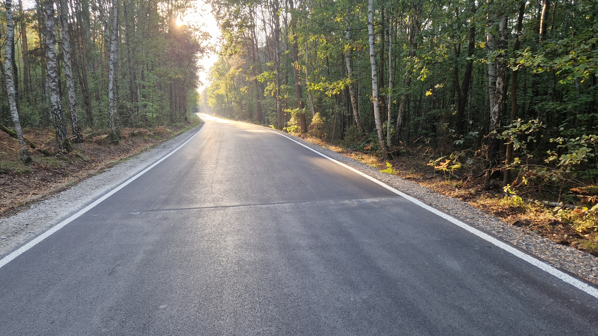 Przebudowa drogi powiatowej na odcinku Olszowa - Kostrzyn