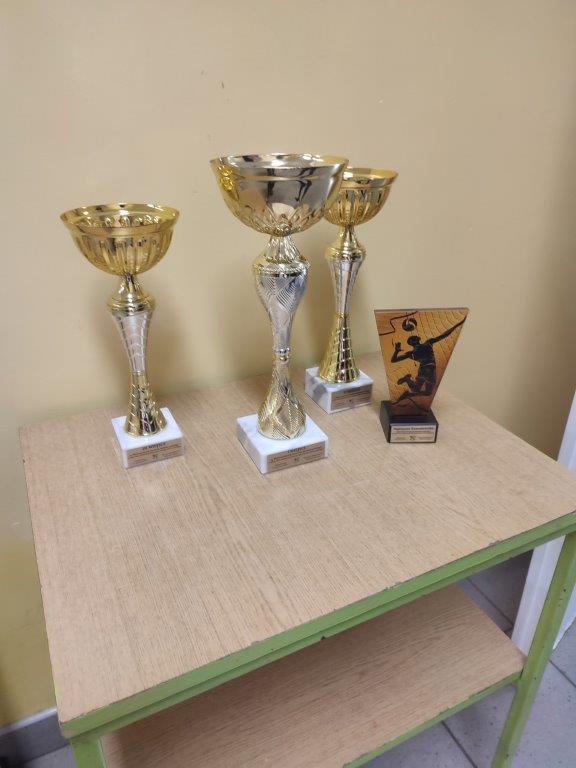 Mistrzostwa Powiatu Białobrzeskiego w Mini Piłce Siatkowej Dziewcząt i Chłopców Szkół Podstawowych!