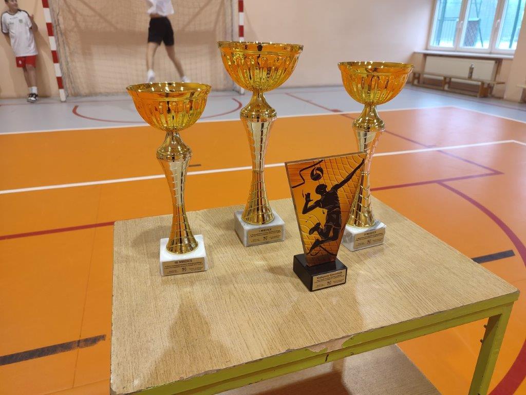 Mistrzostwa Powiatu Białobrzeskiego w Mini Piłce Siatkowej Dziewcząt i Chłopców Szkół Podstawowych!