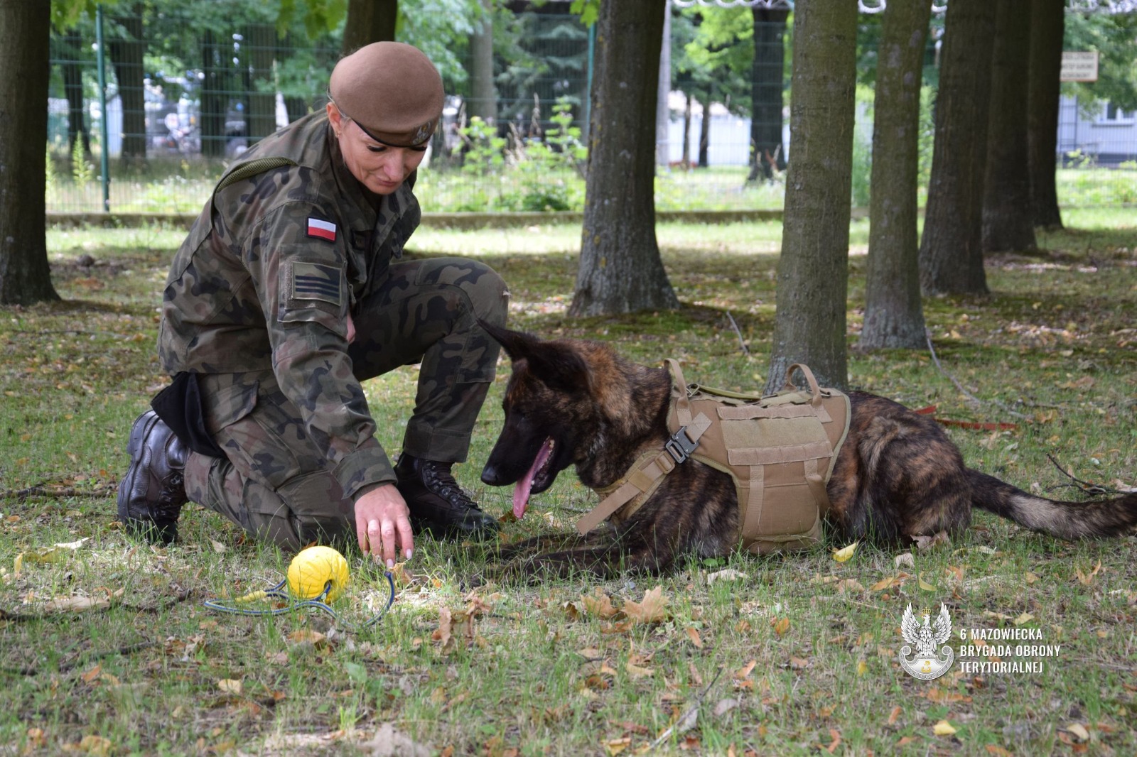 Pierwszy pies w mundurze już służy w 6 Mazowieckiej Brygadzie OT