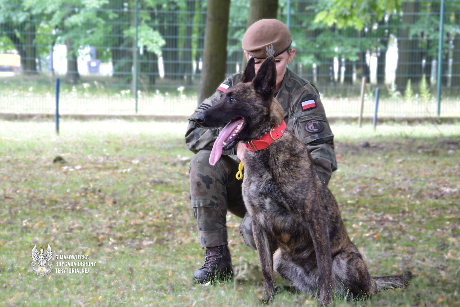 Pierwszy pies w mundurze już służy w 6 Mazowieckiej Brygadzie OT