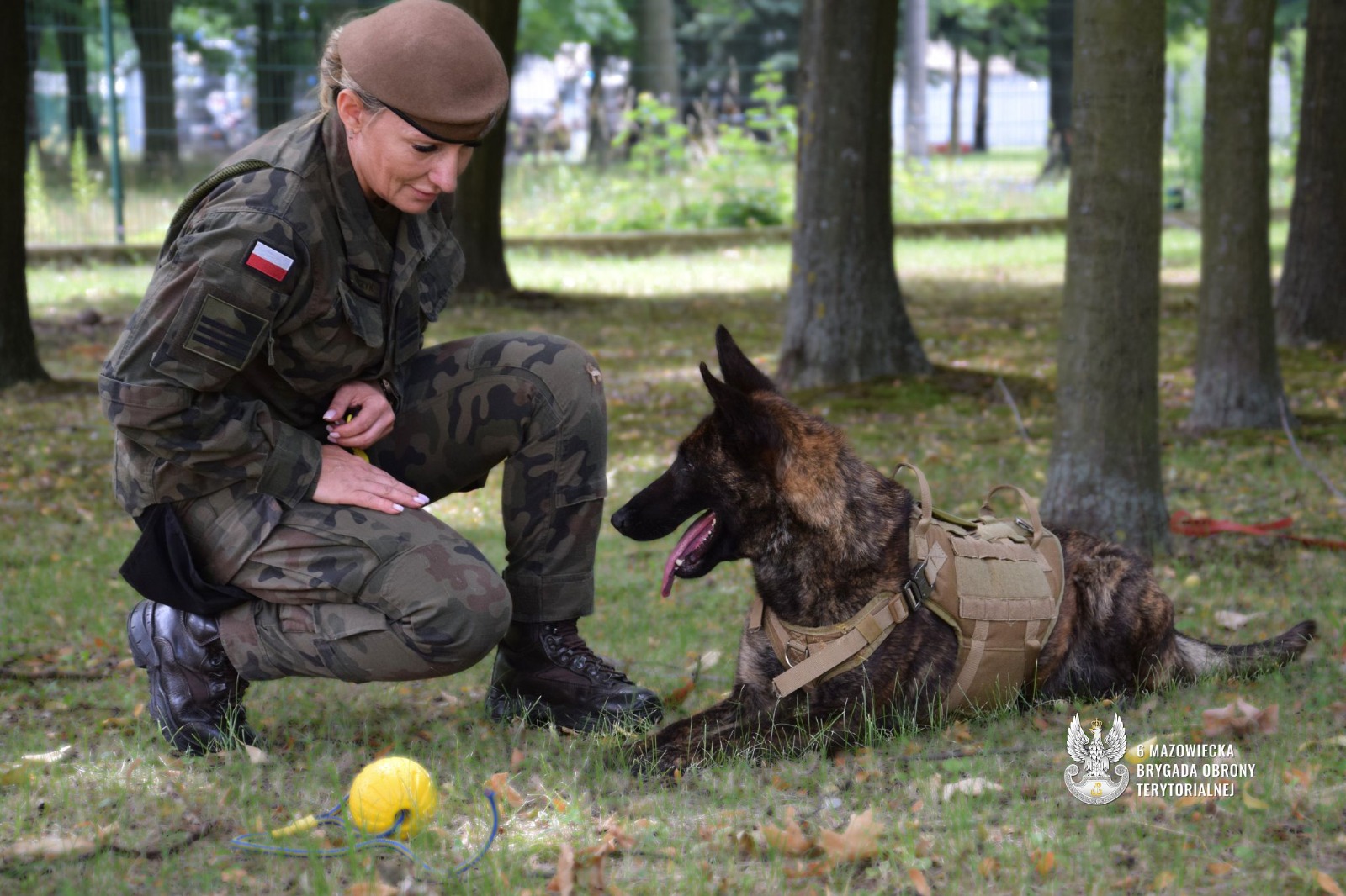 Pierwszy pies w mundurze już służy w 6 Mazowieckiej Brygadzie OT