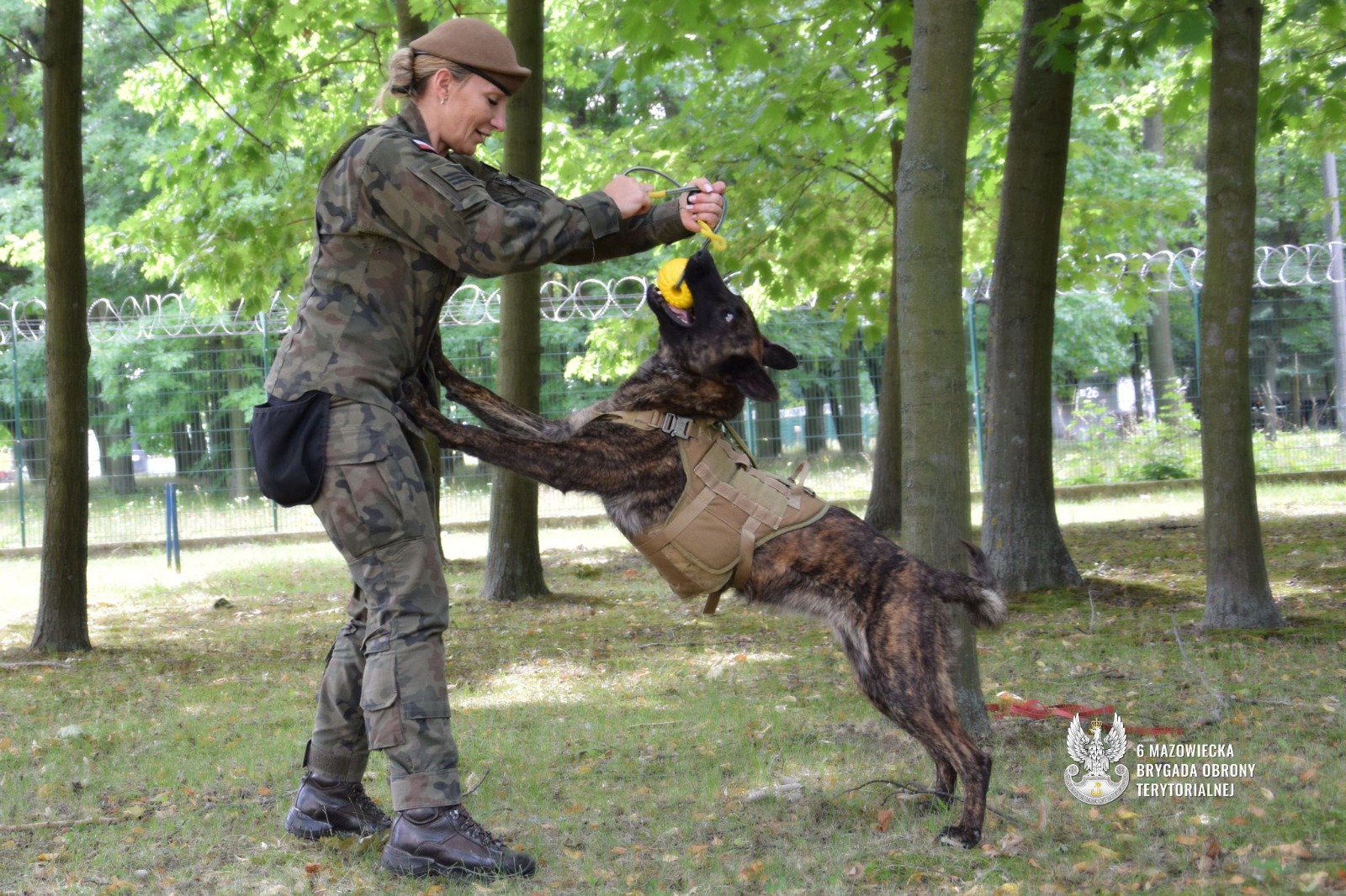 Pierwszy pies w mundurze już służy w 6 Mazowieckiej Brygadzie OT
