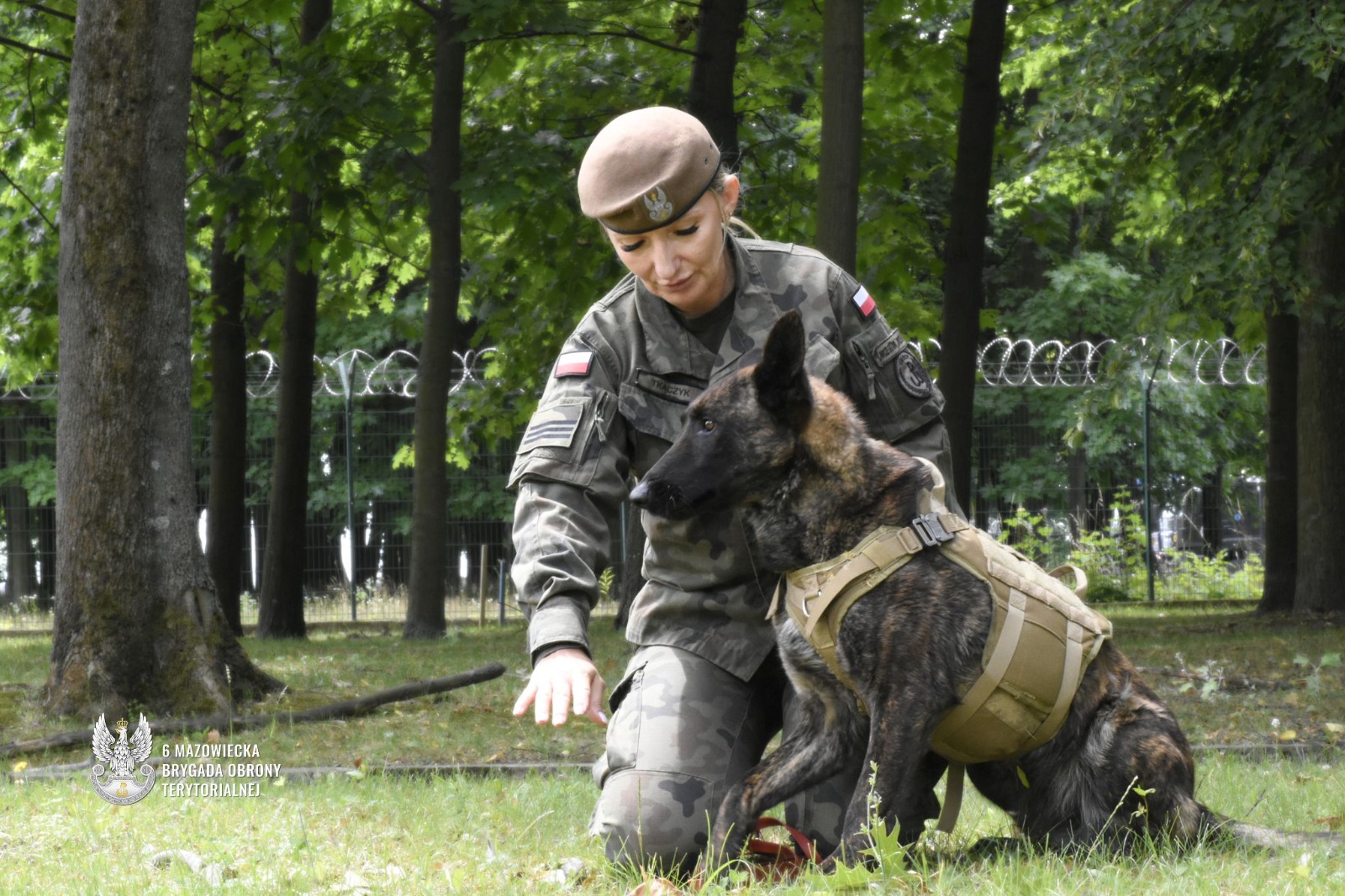 Pierwszy pies w mundurze już służy w 6 Mazowieckiej Brygadzie OT