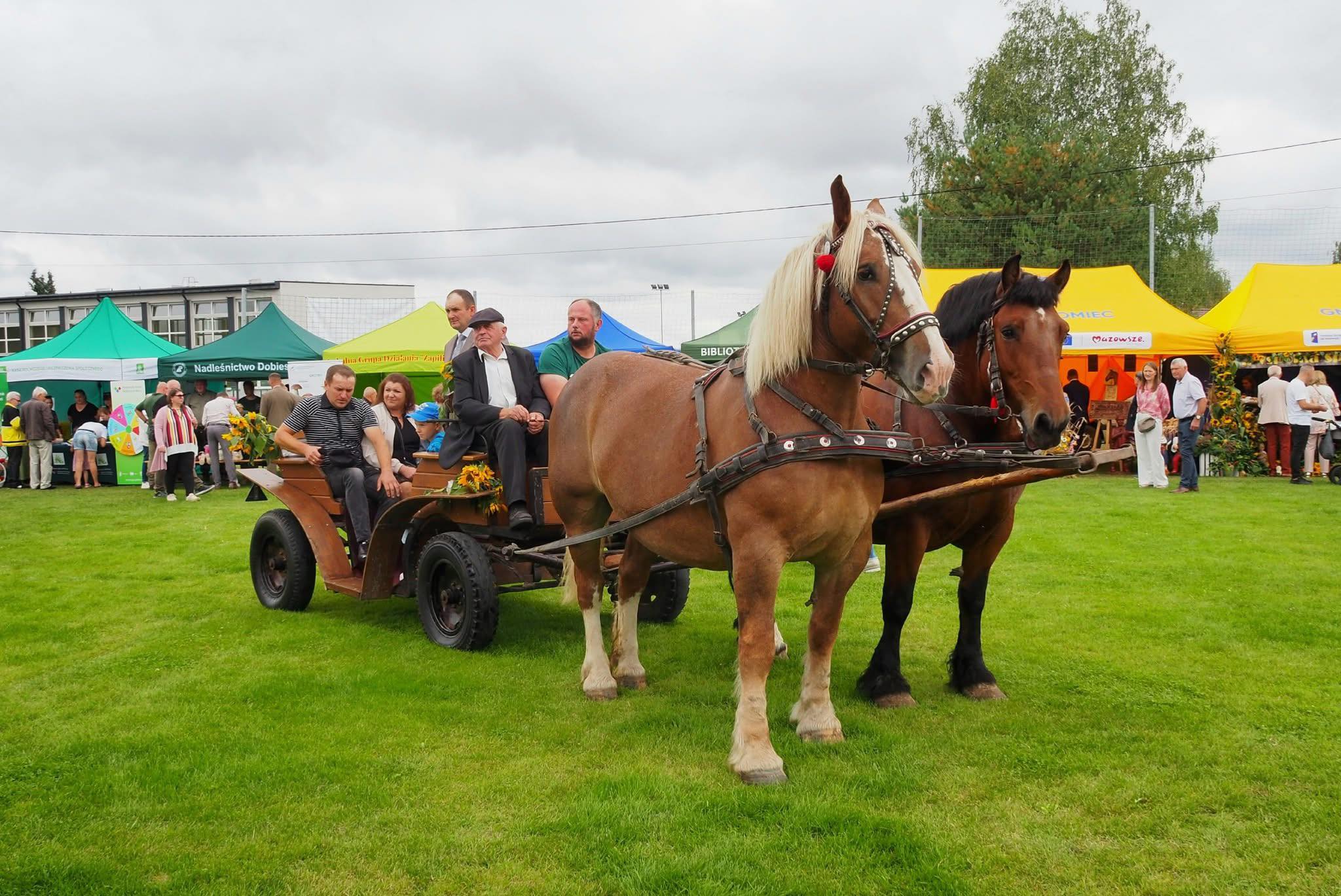 🐴 Przejażdżki bryczką na pikniku charytatywnym dla Leona Słomki! 🌟