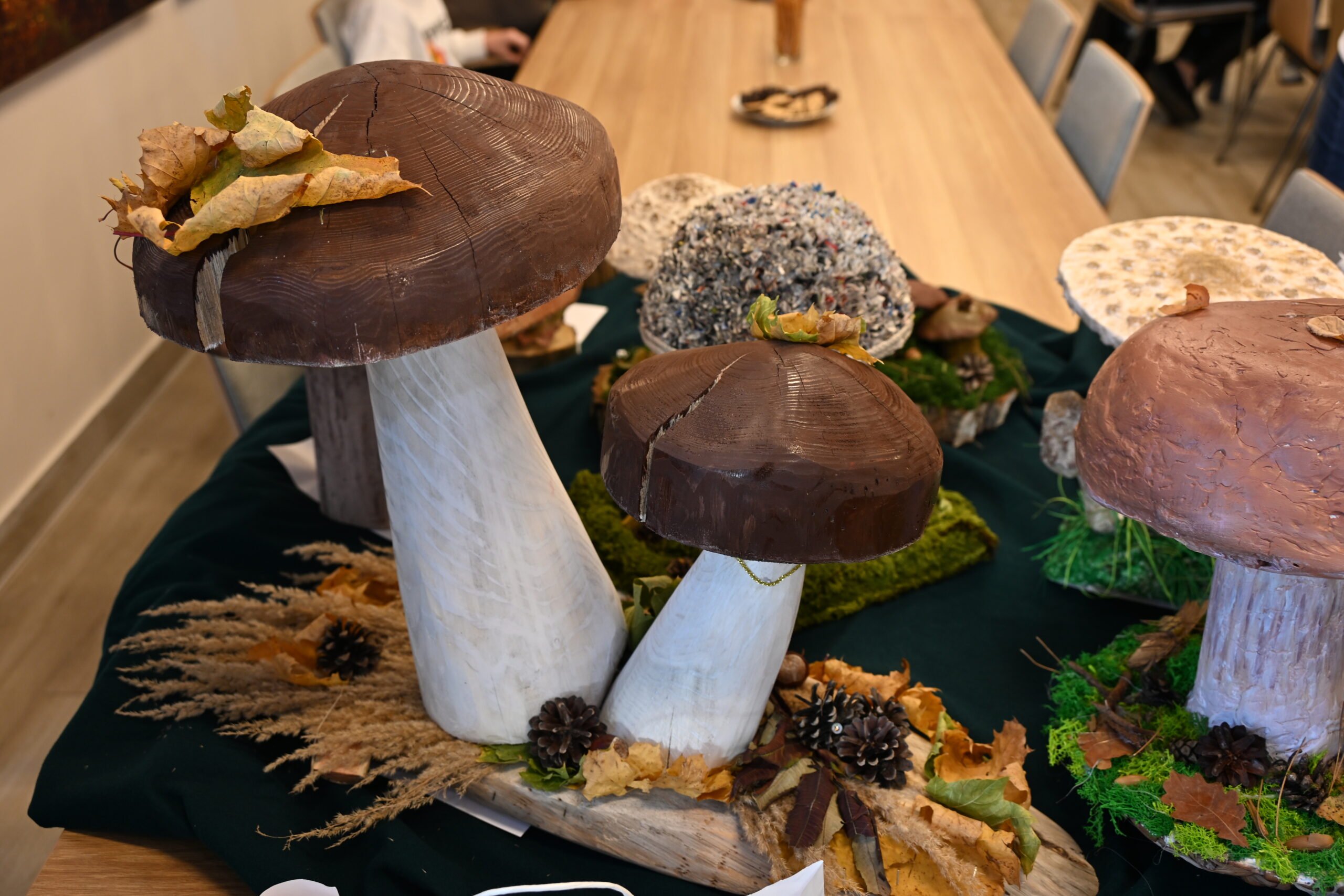 Grzybowy Artysta Roku