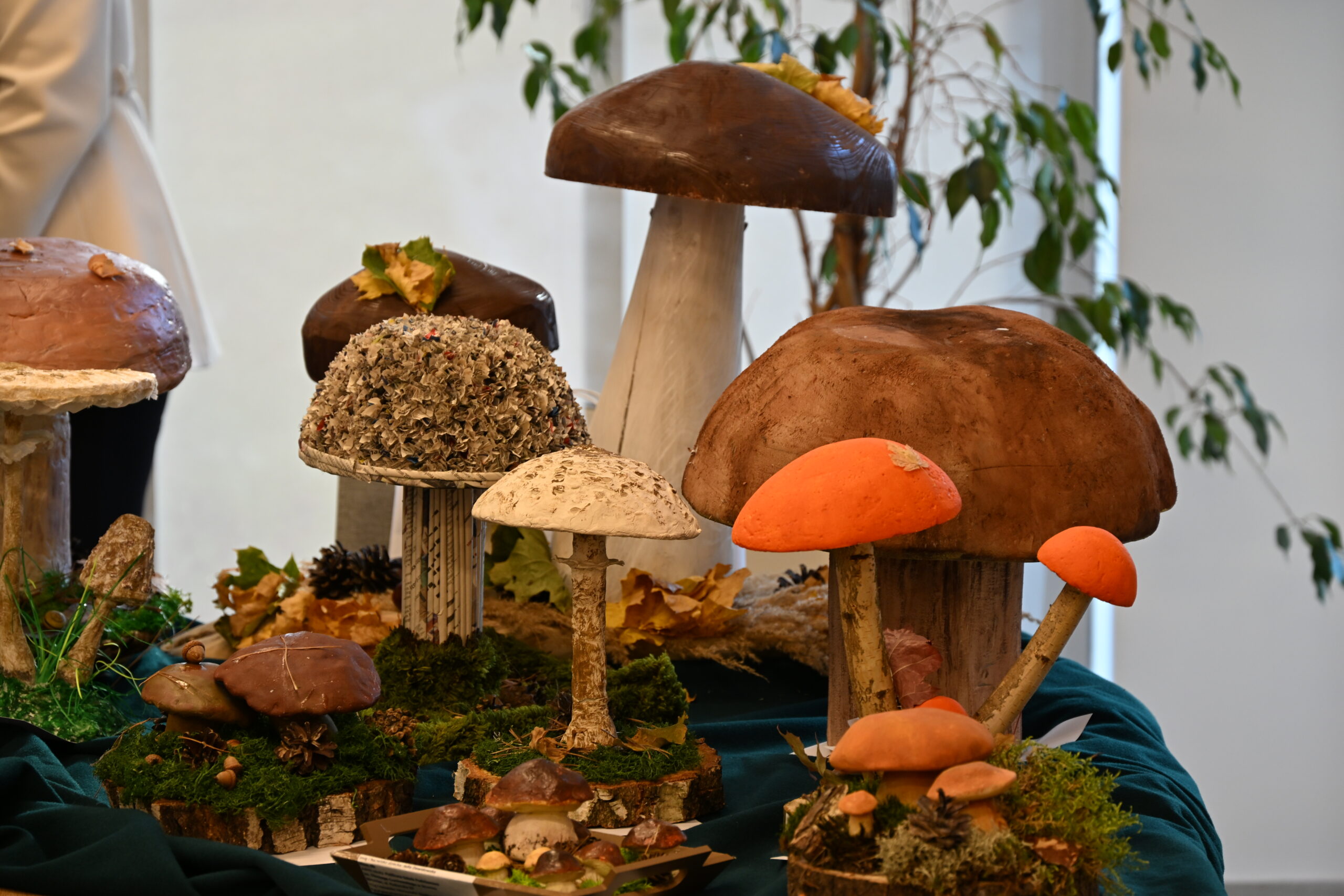 Grzybowy Artysta Roku