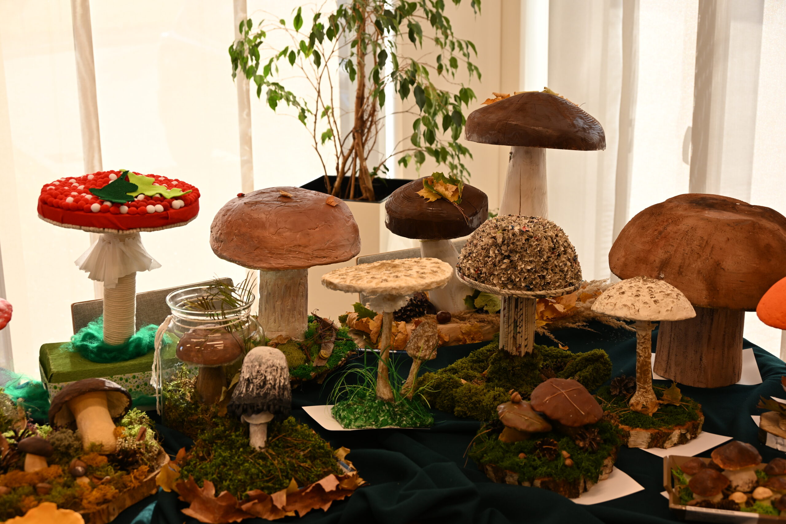 Grzybowy Artysta Roku