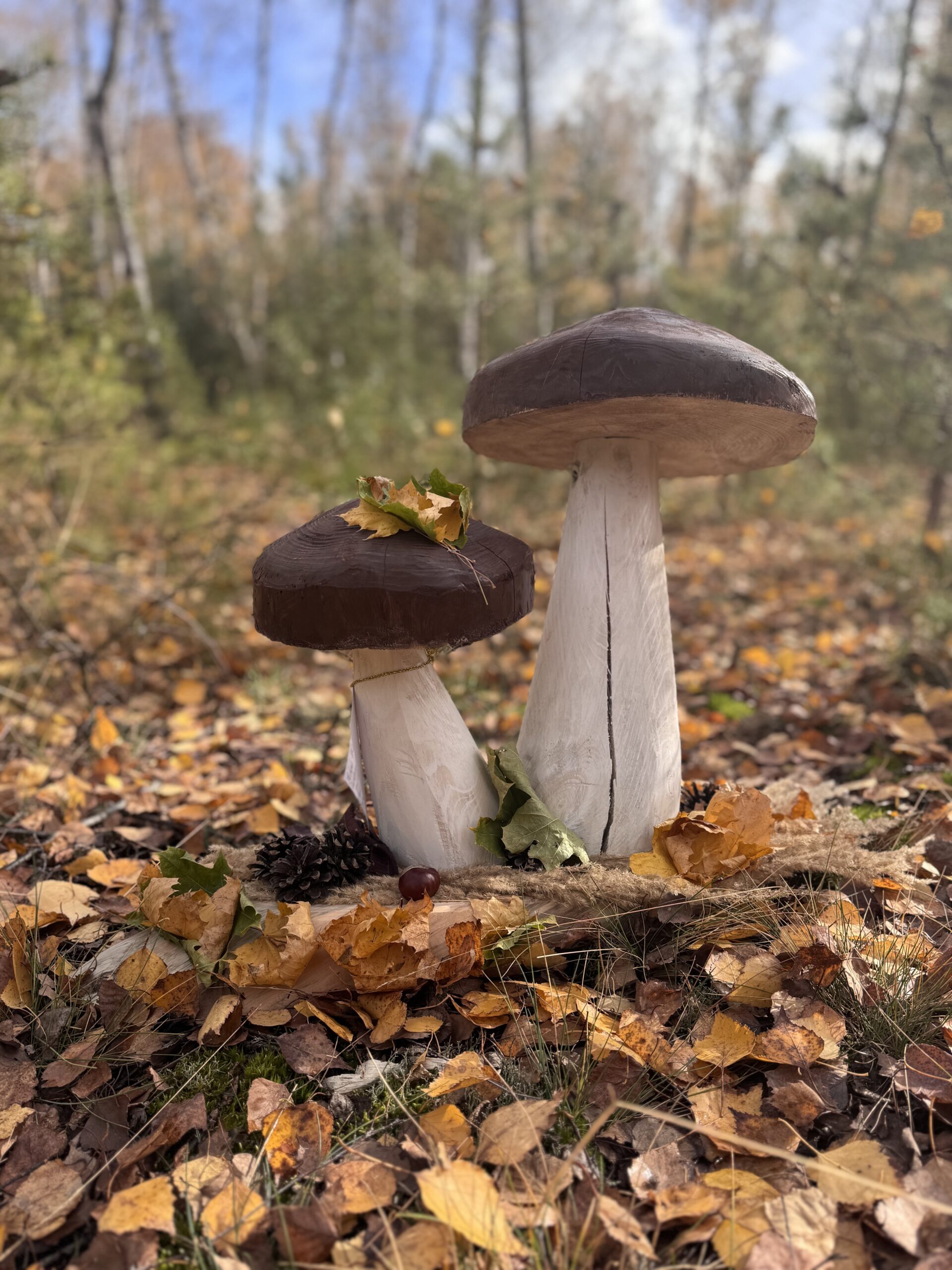 Grzybowy Artysta Roku