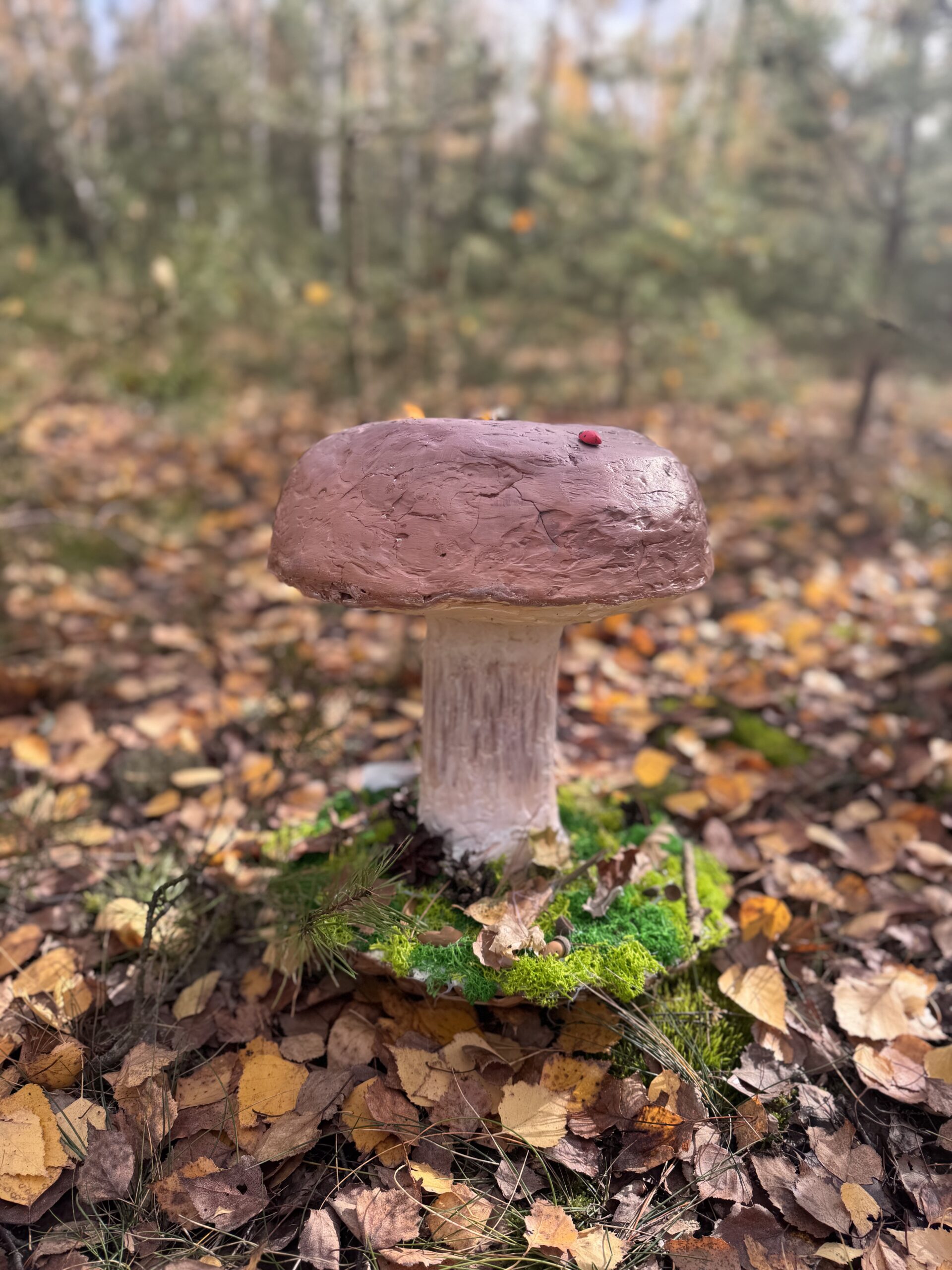 Grzybowy Artysta Roku