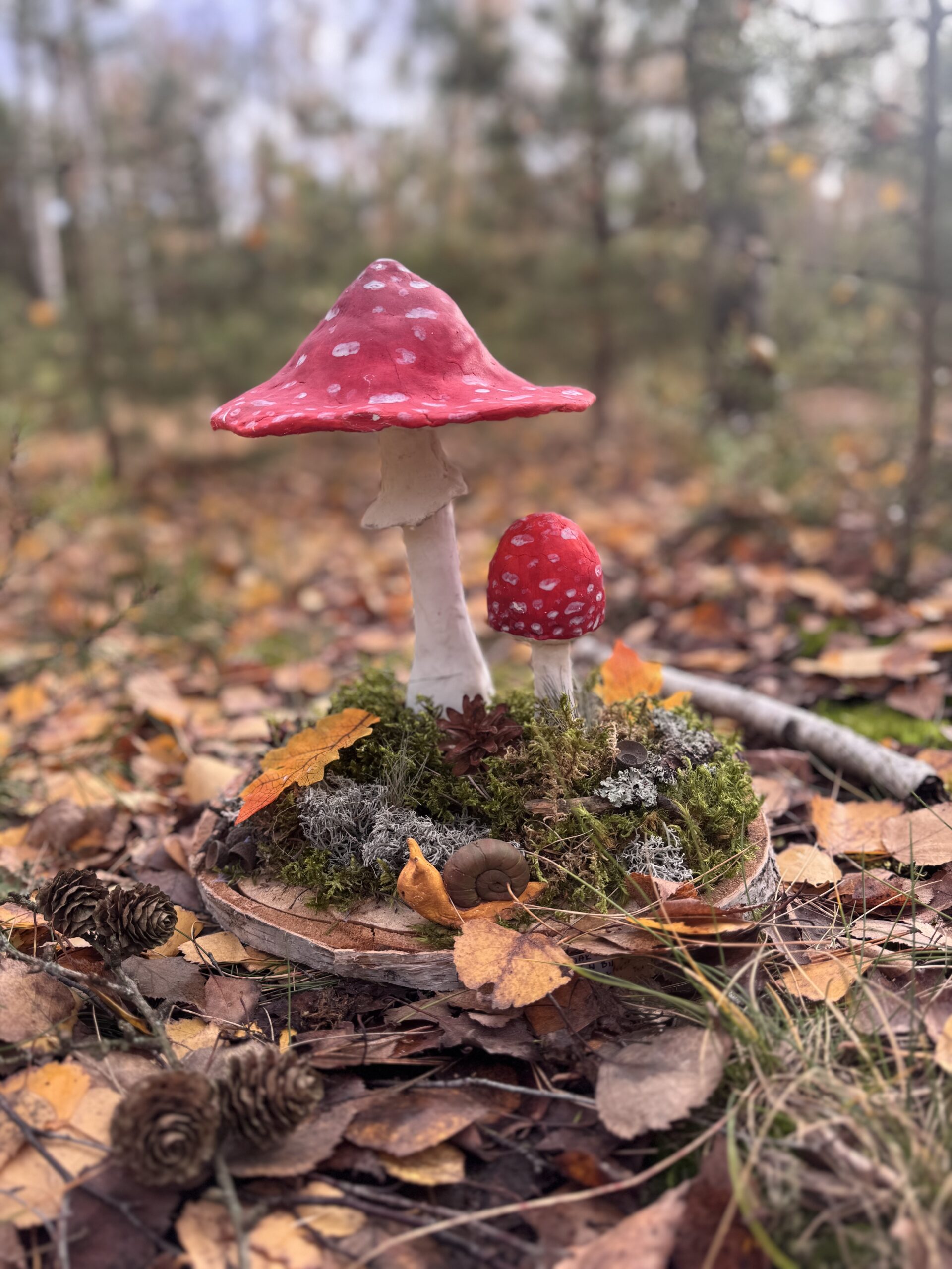 Grzybowy Artysta Roku