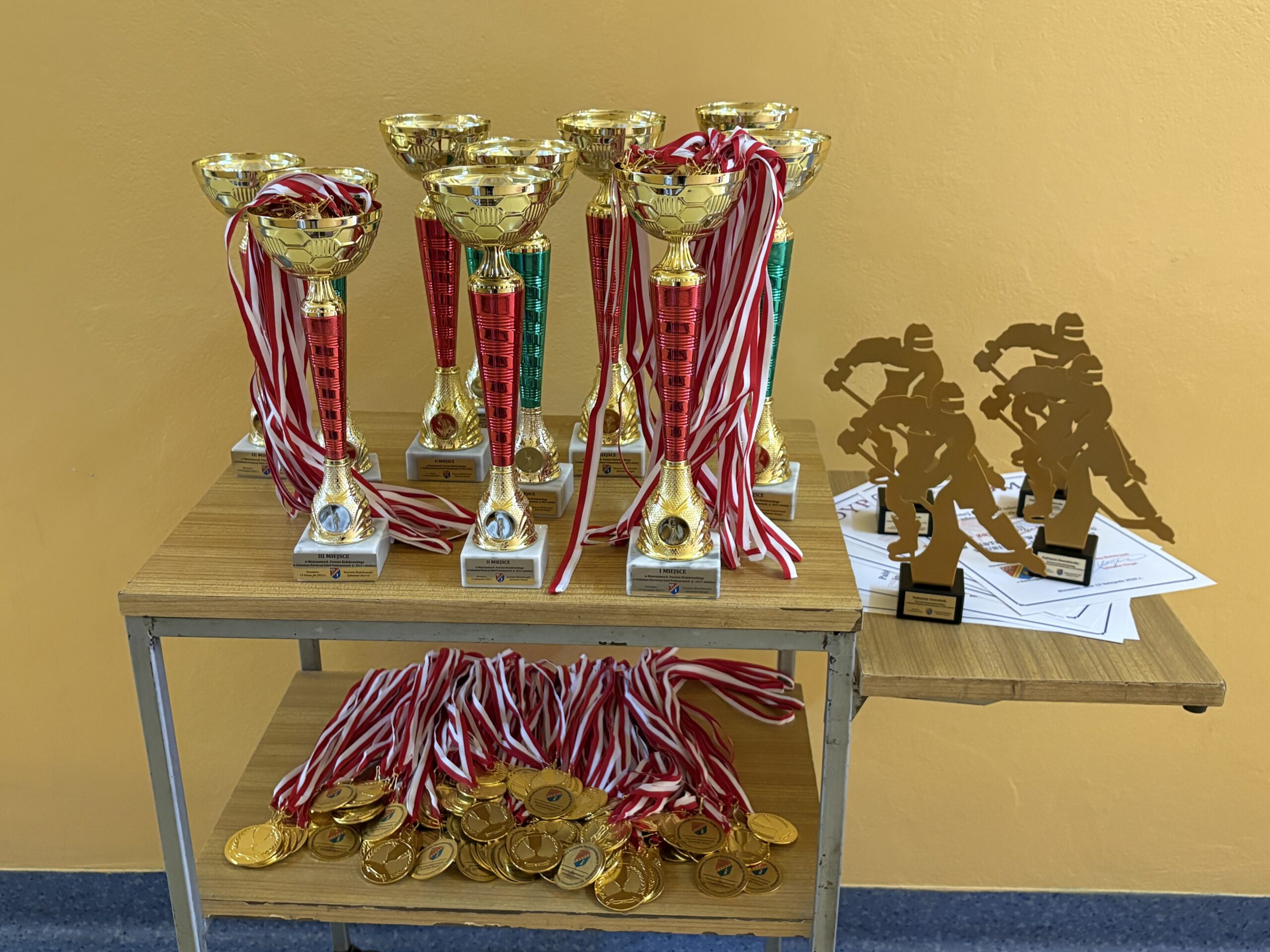 Podsumowanie Mistrzostw Powiatu Białobrzeskiego w Unihokeju Dziewcząt i Chłopców