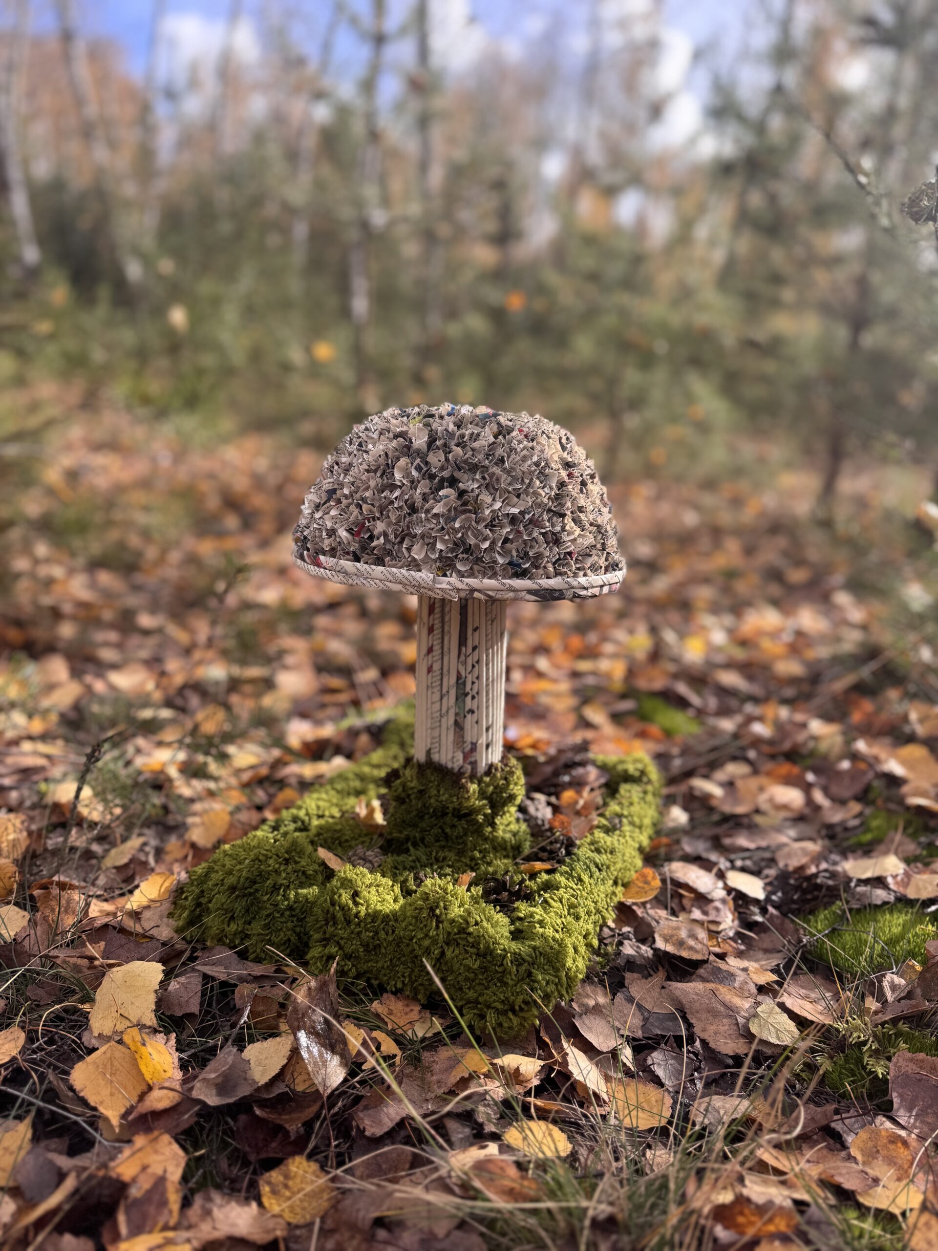 Grzybowy Artysta Roku