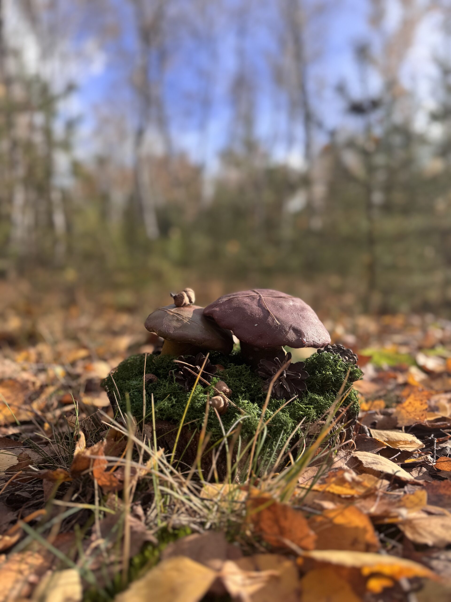 Grzybowy Artysta Roku