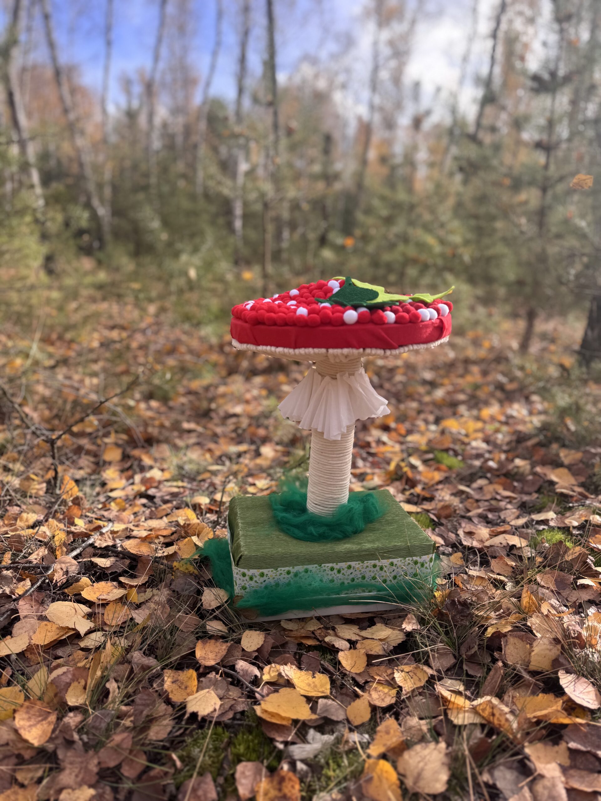 Grzybowy Artysta Roku