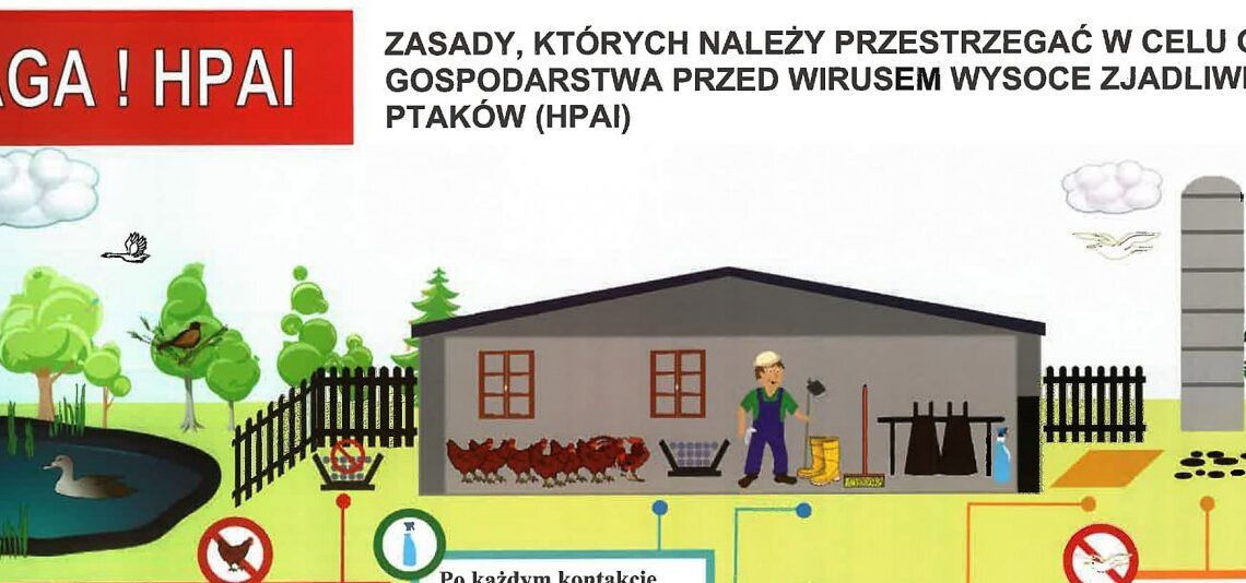 UWAGA! HPAI!