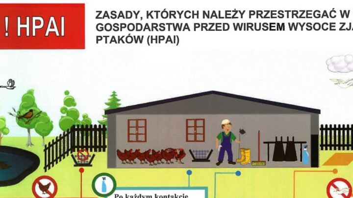 UWAGA! HPAI!