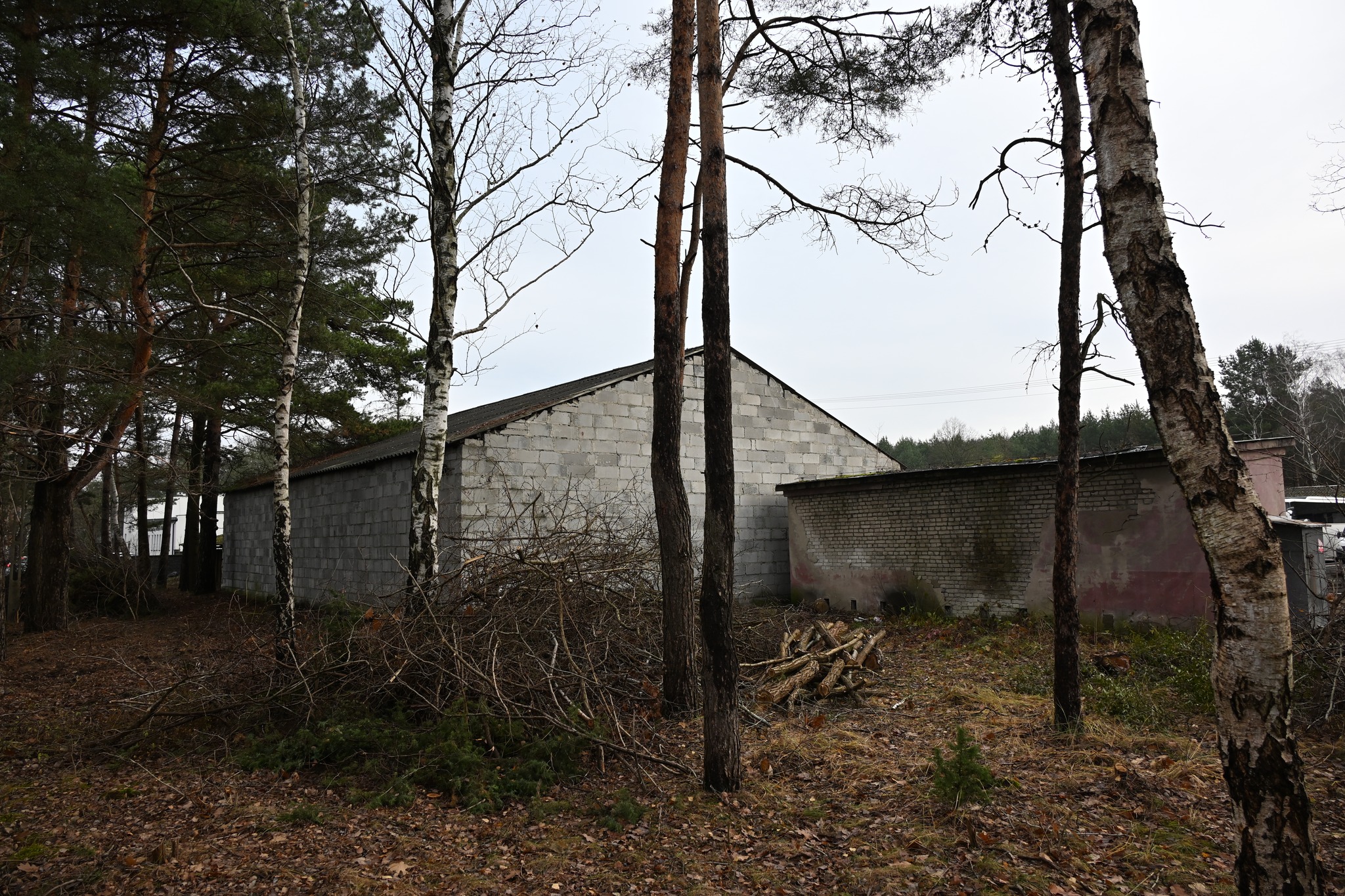 🚜 W ostatnich dniach zakończono kolejny etap zagospodarowania terenu przy Powiatowym Zarządzie Dróg Publicznych w Białobrzegach.